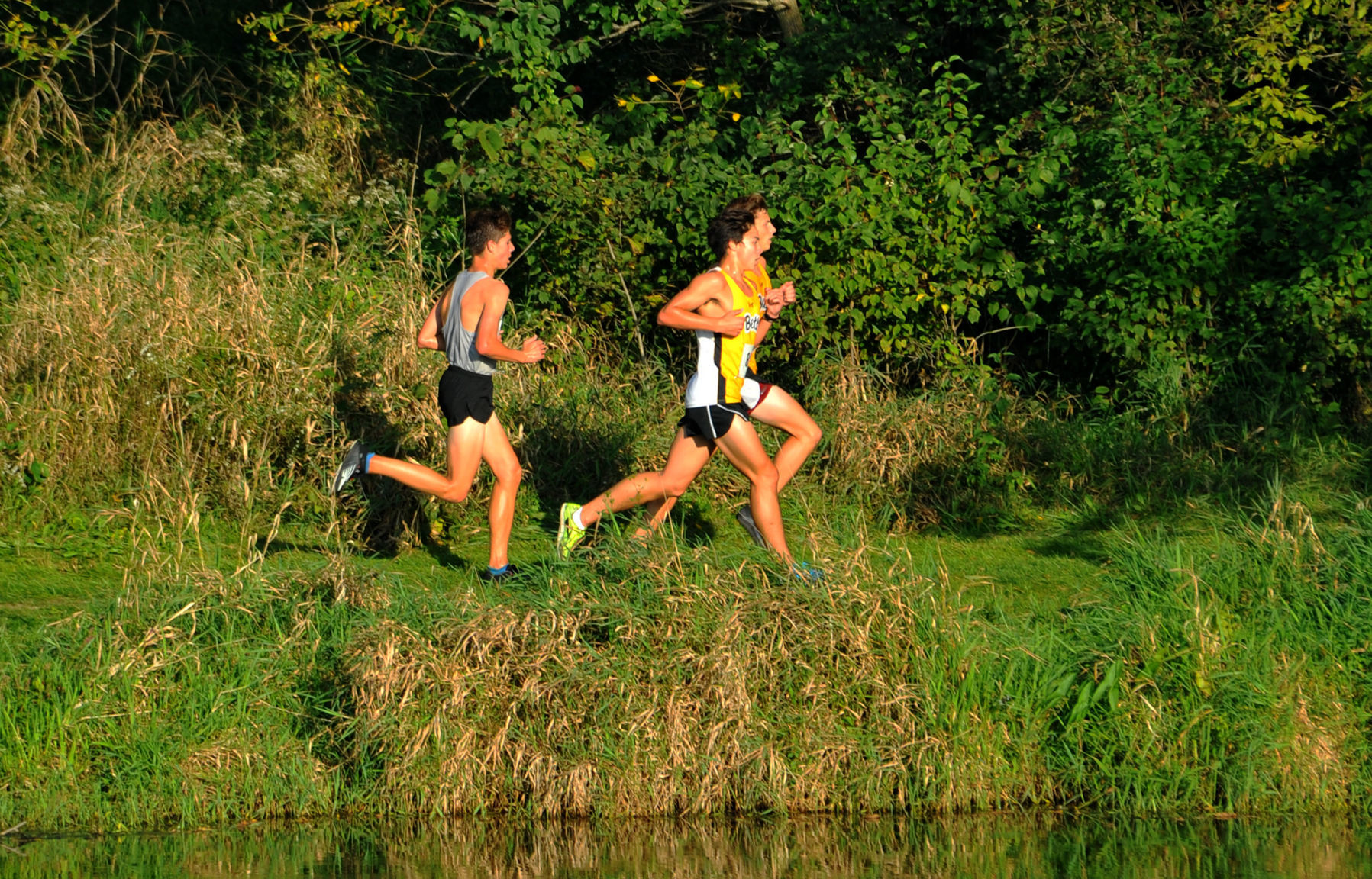 North Scott cross country